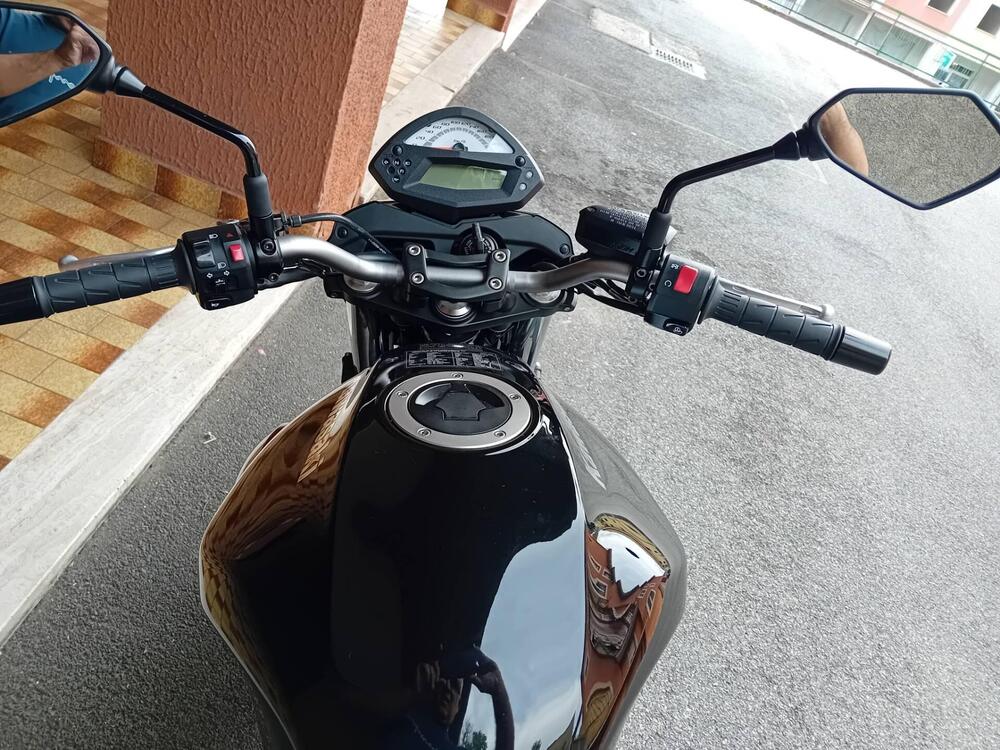 Kawasaki ER-6N (2009 - 11) (2)