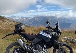 Ducati DesertX (2022 - 25) usata