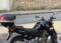 Honda CBF 500 usata