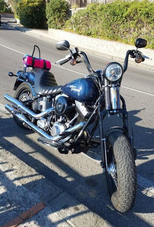 Harley-Davidson 1584 Cross Bones (2008 - 11) - FLSTSB (5)