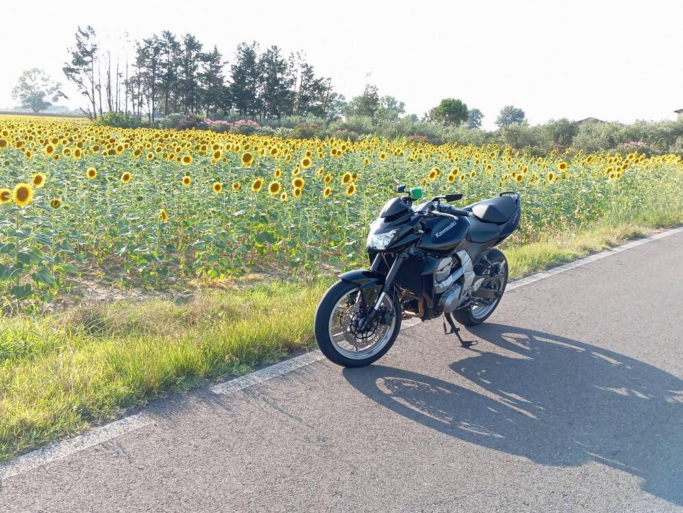 Kawasaki Z 750 (2007 - 14)