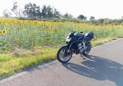 Kawasaki Z 750 (2007 - 14) usata