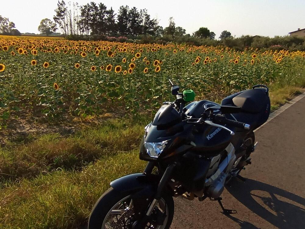 Kawasaki Z 750 (2007 - 14) (4)