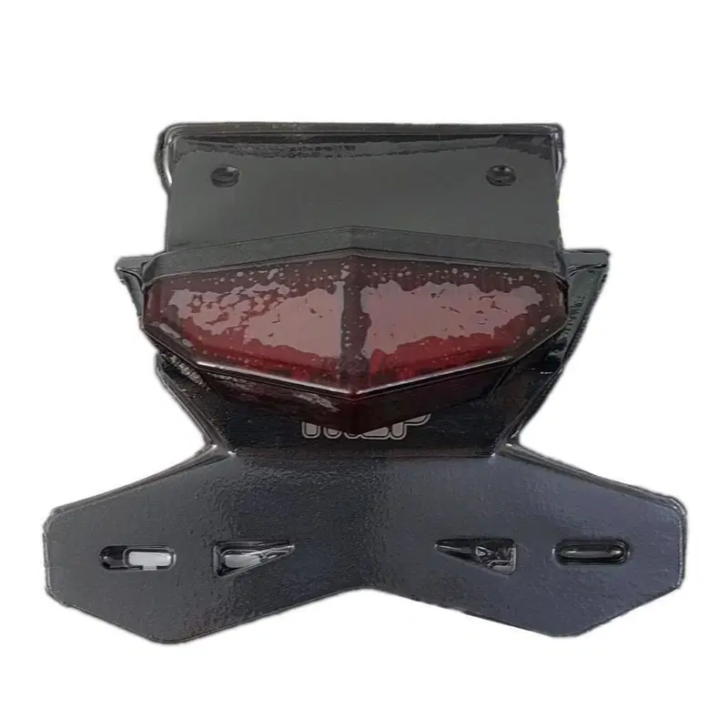 Set Luci posteriori Thep per Honda CRF 300L (4)