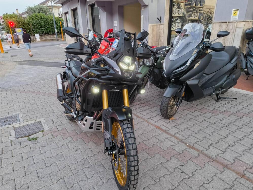 Voge Valico 800DSX Rally (2025) (2)