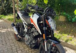 KTM 390 Duke (2021 - 23) usata