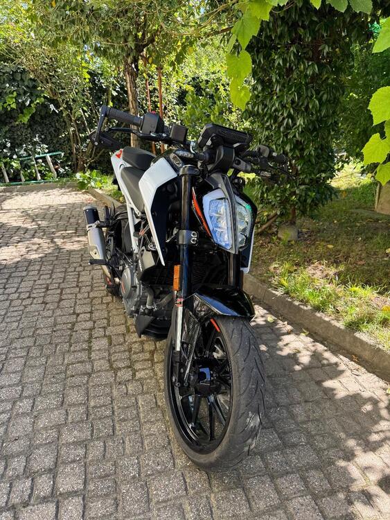 KTM 390 Duke (2021 - 23) (2)