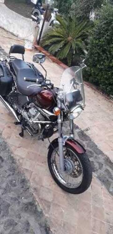 Moto Guzzi Nevada 750 Club (2002 - 06) (3)