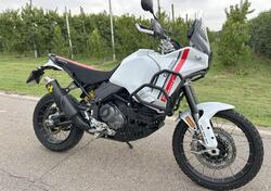 Ducati DesertX (2022 - 25) usata
