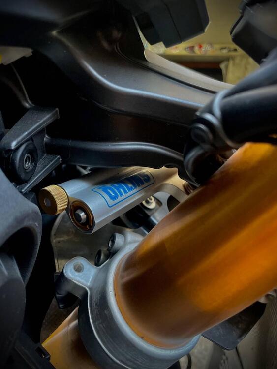 Aprilia RSV4 RF ABS (2015 - 17) (5)