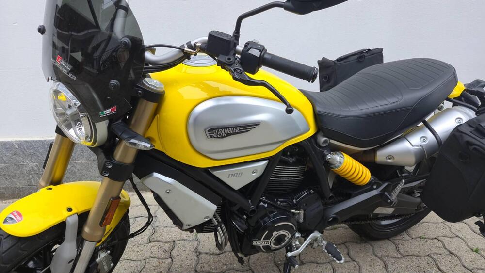 Ducati Scrambler 1100 (2018 - 20) (5)