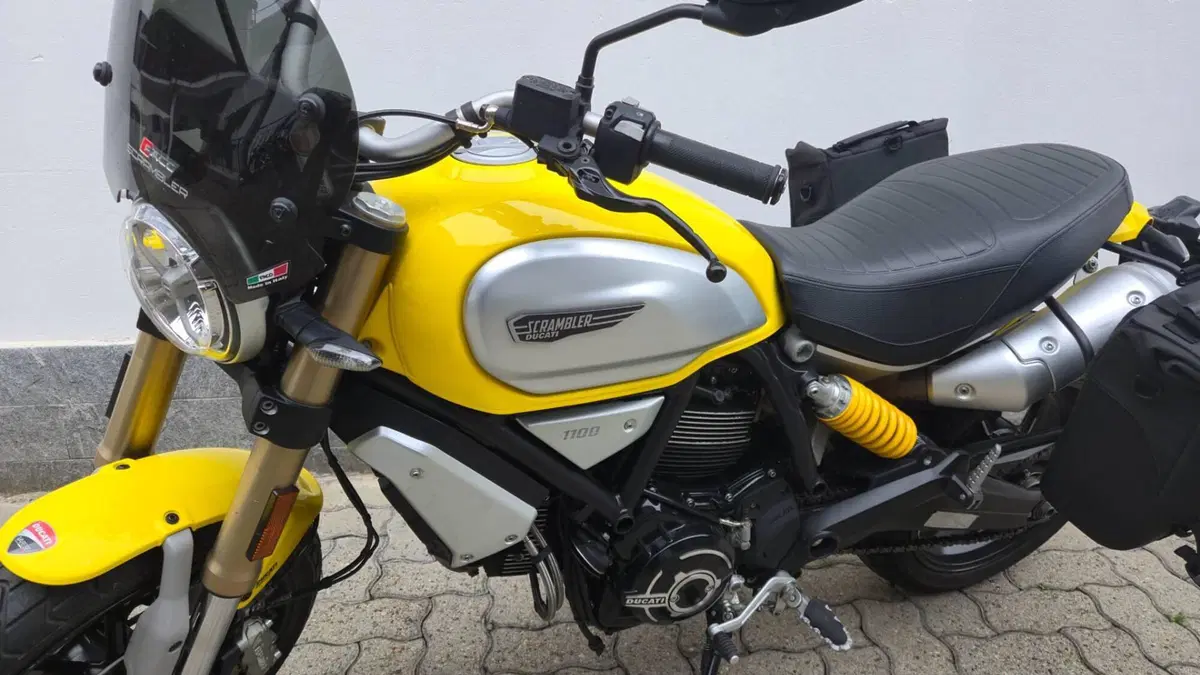 Ducati Scrambler 1100 (2018 - 20) (5)