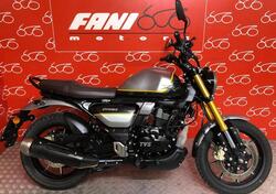 TVS Motor Ronin 250 (2024 - 25) usata