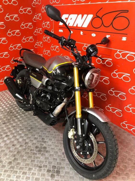 TVS Motor Ronin 250 (2024 - 25) (2)