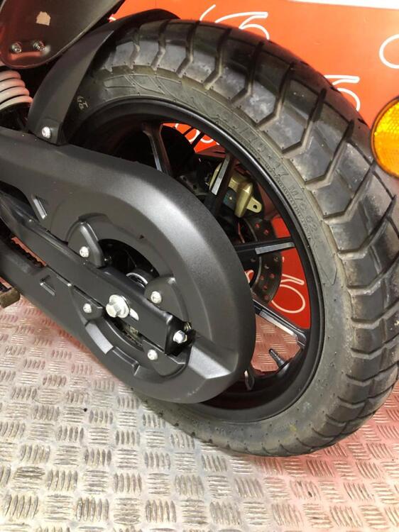 TVS Motor Ronin 250 (2024 - 25) (5)