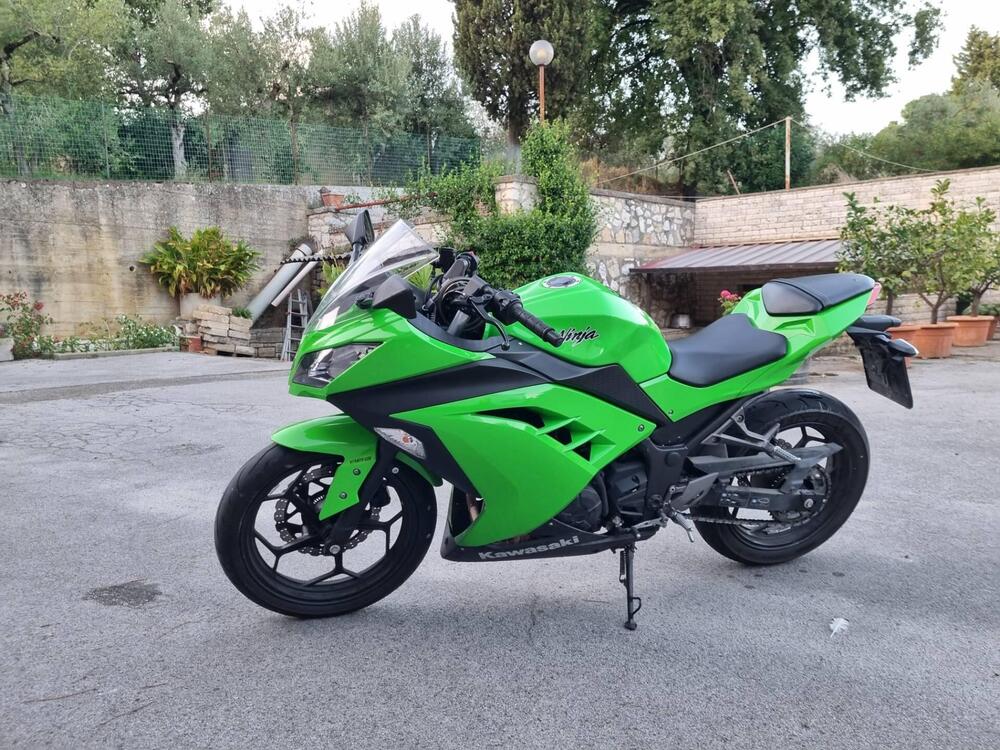 Kawasaki Ninja 300 ABS (2012 - 16) (3)