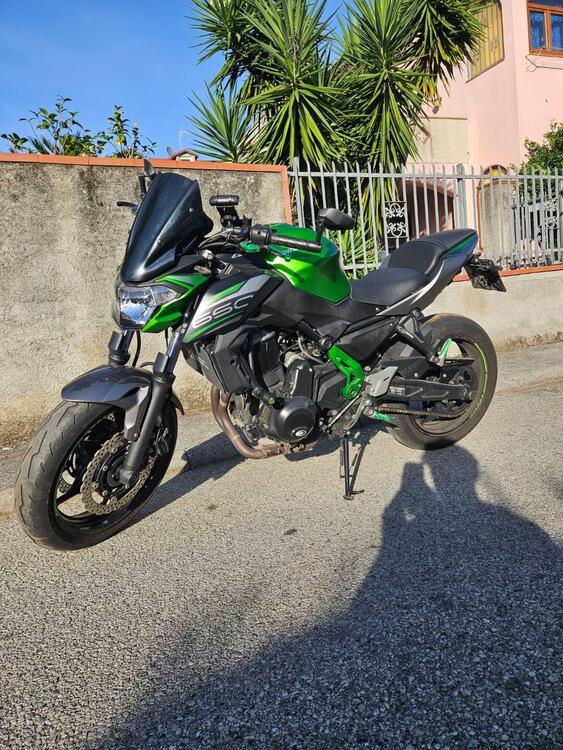 Kawasaki Z 650 Performance (2019 - 20)