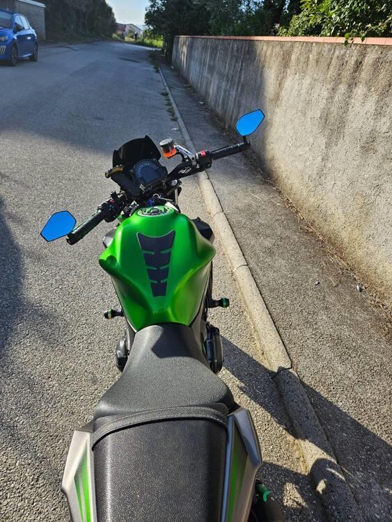 Kawasaki Z 650 Performance (2019 - 20) (3)