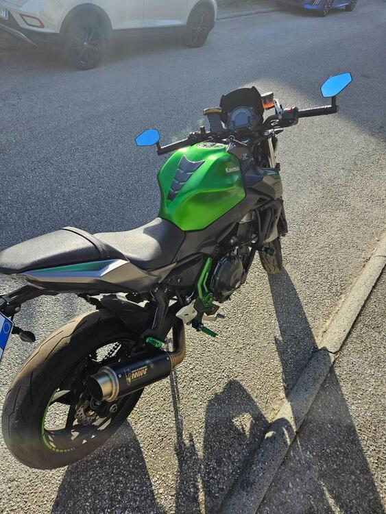Kawasaki Z 650 Performance (2019 - 20) (4)