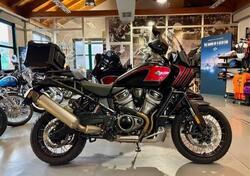 Harley-Davidson Pan America 1250 Special (2020 - 25) usata