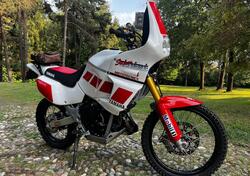Yamaha XTZ 750 SuperTéneré (1989 - 98) usata