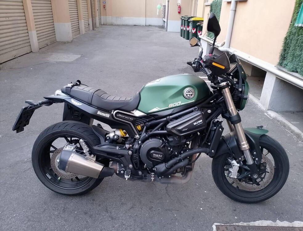 Benelli Leoncino 800 (2022 - 25) (4)