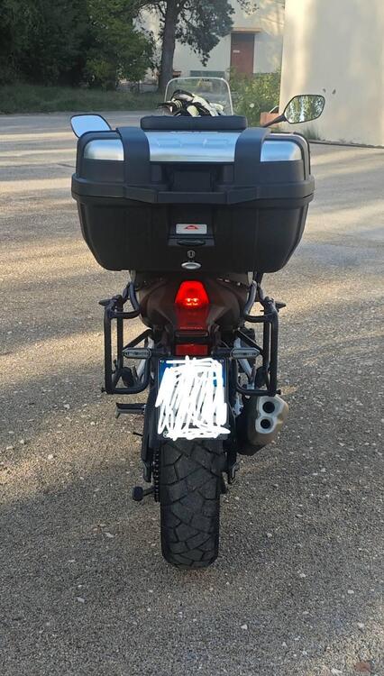 Honda NX500 (2024 - 25) (4)