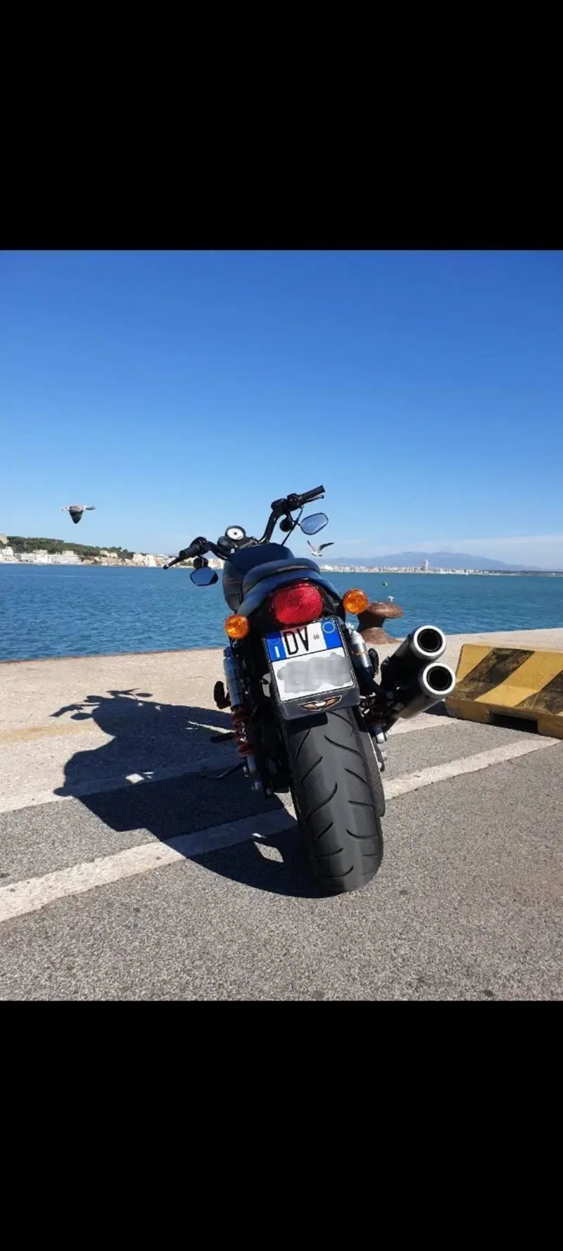 Harley-Davidson 1200 XR X (2010 - 12) (2)