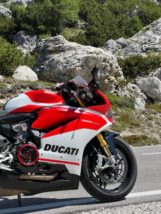 Ducati 959 Panigale Corse (2018 - 19) (4)