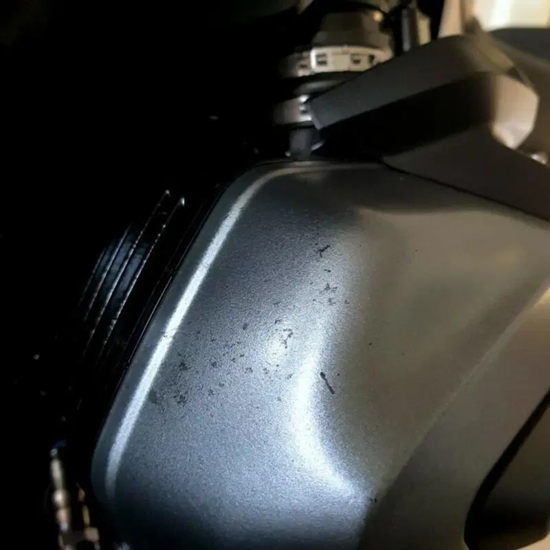 Bmw R 1250 GS (2019 - 20) (12)
