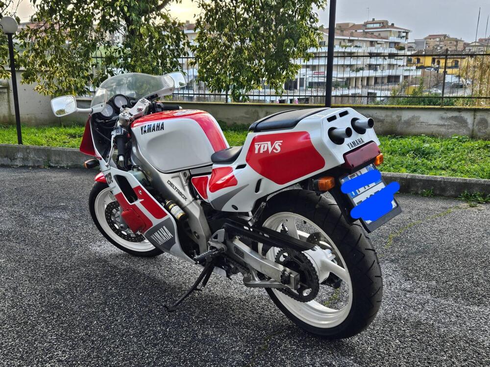 Yamaha TZR 250 3MA (4)