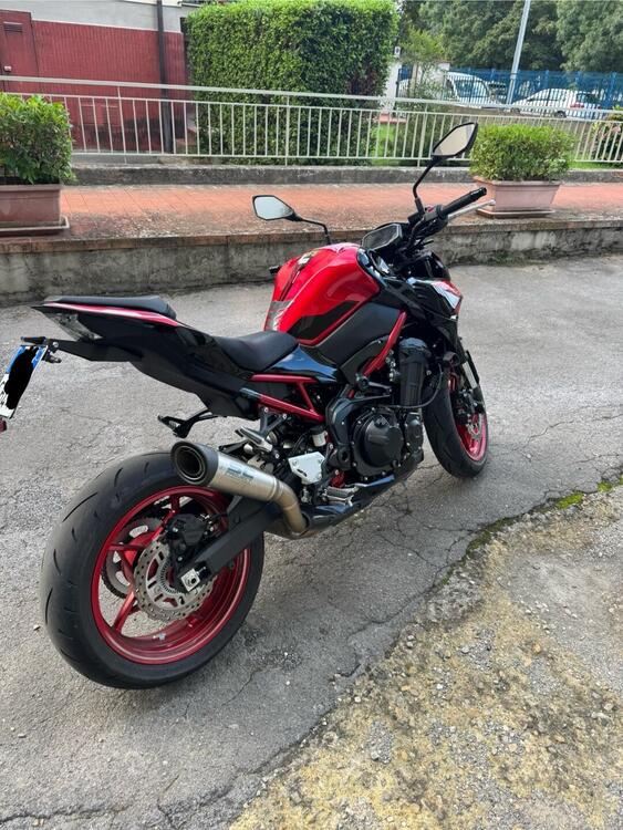 Kawasaki Z 900 (2021 - 24) (4)