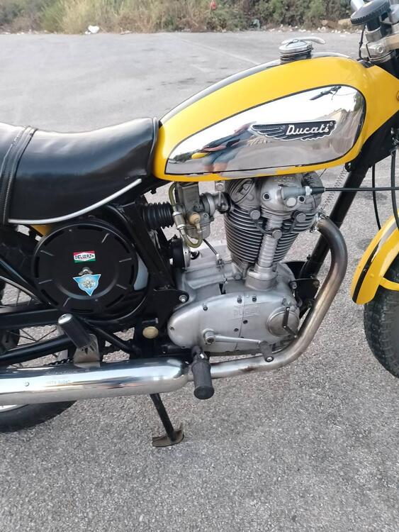 Ducati Scrambler