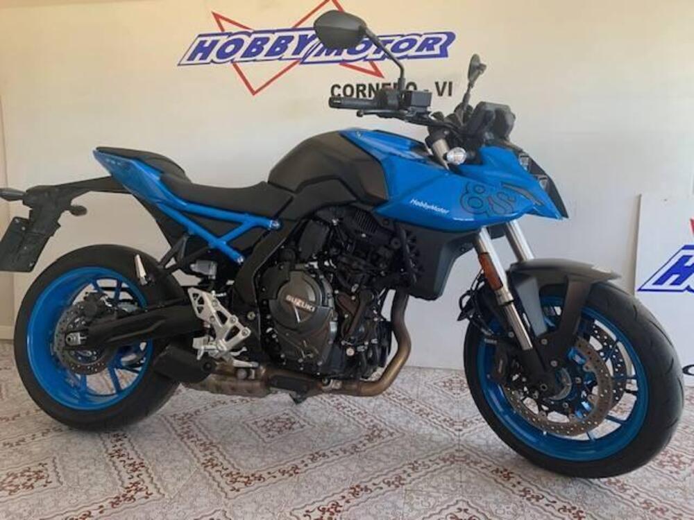 Suzuki GSX-8S (2023 - 24) (2)