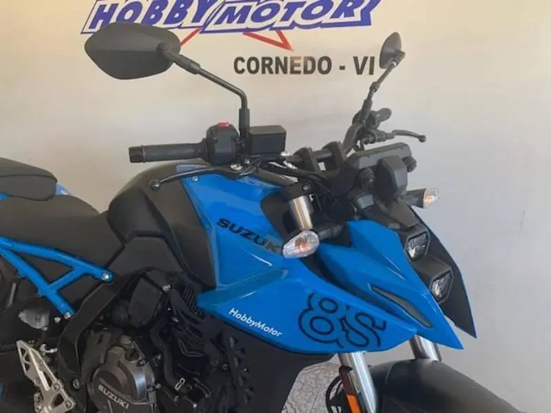 Suzuki GSX-8S (2023 - 24) (6)