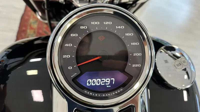 Harley-Davidson Sport Glide (2021 - 25) (9)