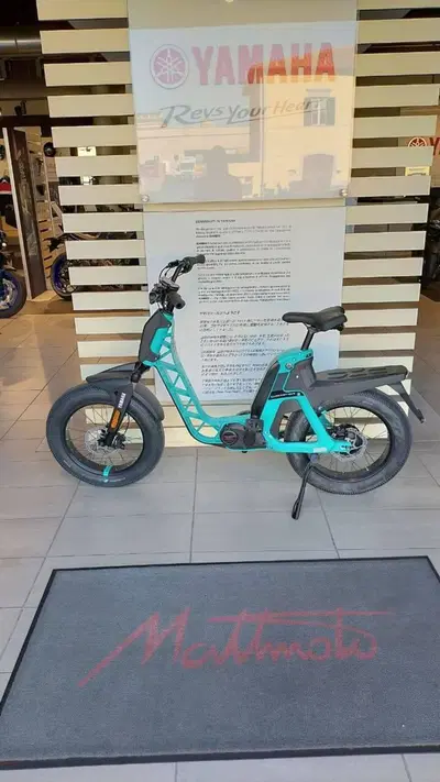  Altre moto o tipologie Elettrico nuova