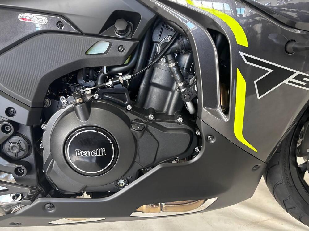 Benelli Tornado 550 (2025) (3)