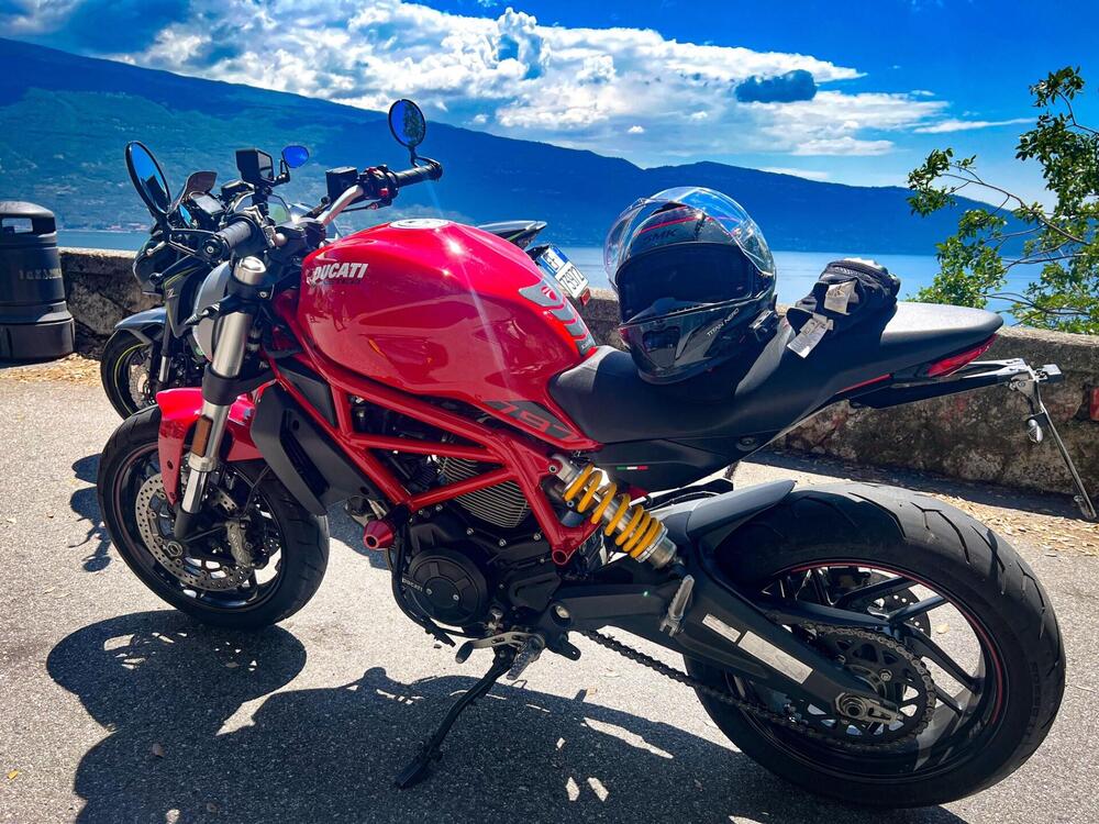 Ducati Monster 797 (2017 - 18)