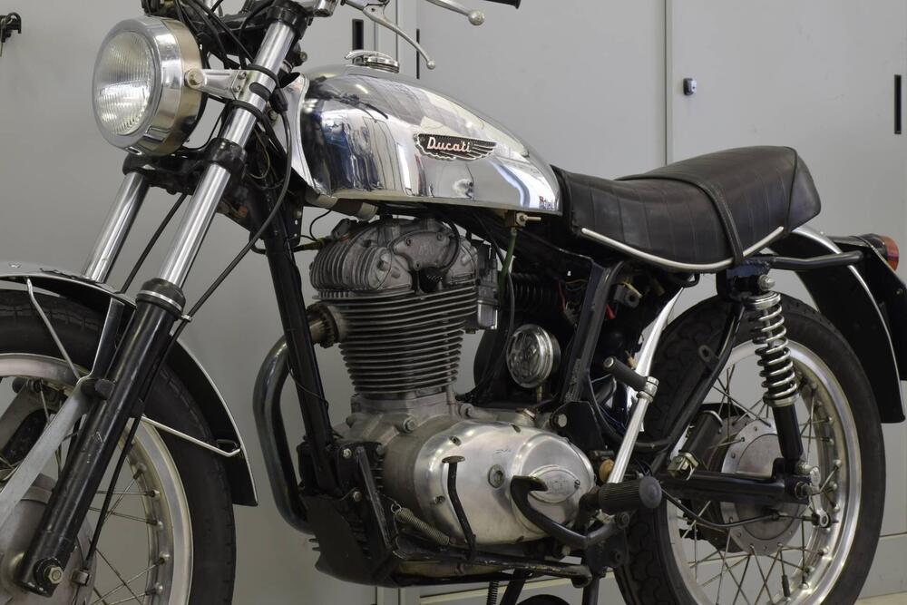 Ducati Ducati Scrambler 450 (3)