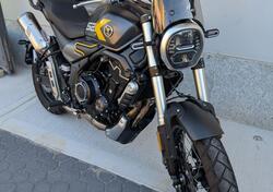 Voge Trofeo 525ACX Scrambler (2023 - 25) usata