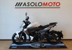 Morbidelli F125 (2025) nuova