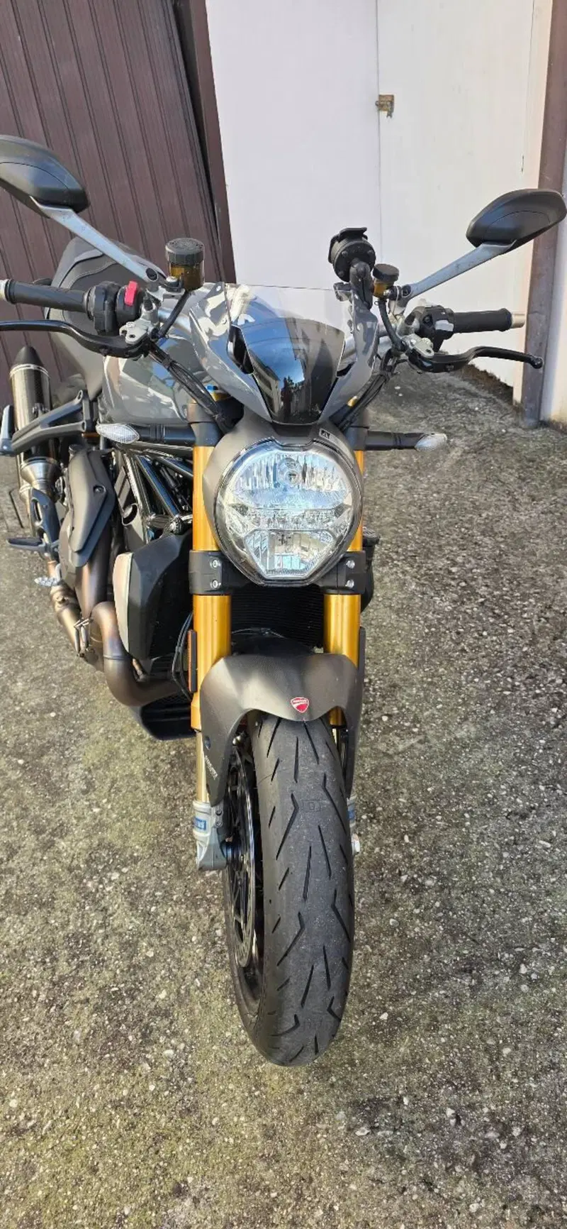 Ducati Monster 1200 S (2017 - 21) (2)