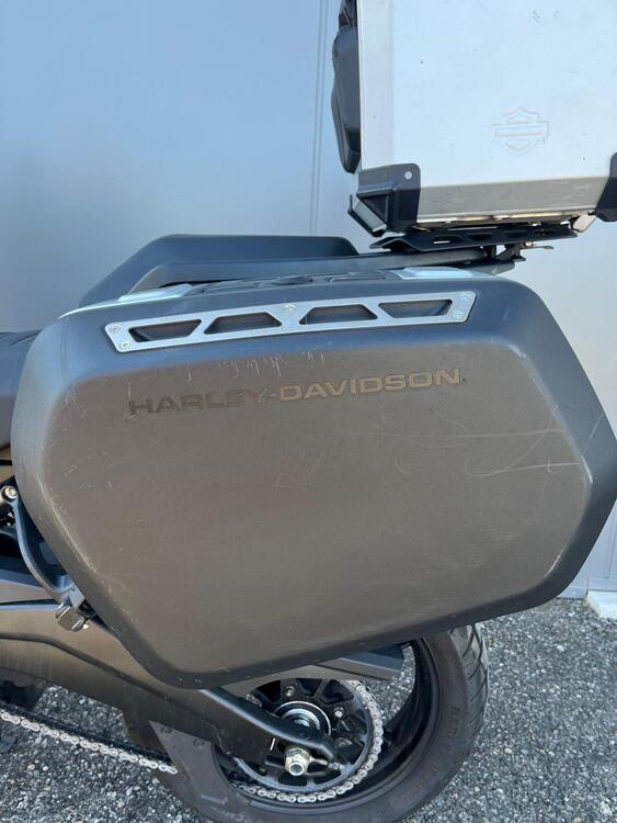 Harley-Davidson Pan America 1250 Special (2020 - 25) (4)
