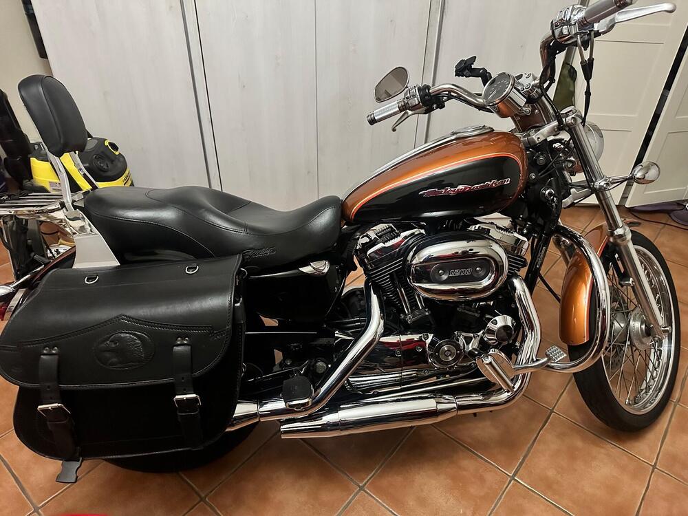 Harley-Davidson 1200 Custom (2004 - 06) - XL 1200C (4)