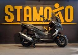 QJ Motor MTX 300 (2025) nuova