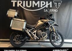 Triumph Tiger 1200 Rally Pro (2024 - 25) usata