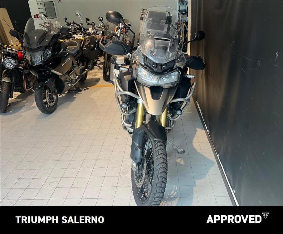 Triumph Tiger 1200 Rally Pro (2024 - 25) (3)