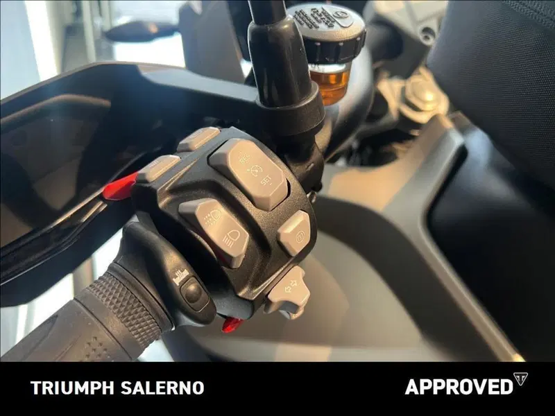 Triumph Tiger 1200 Rally Pro (2024 - 26) (8)