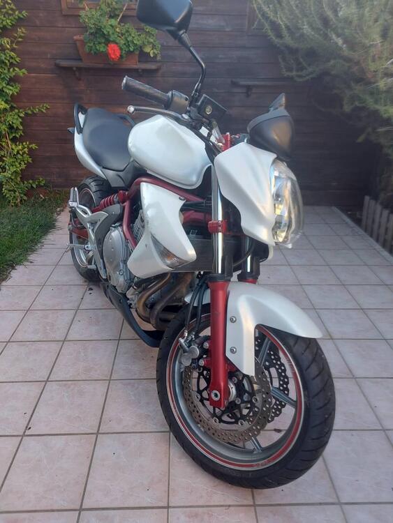 Kawasaki ER-6N (2006 - 09)